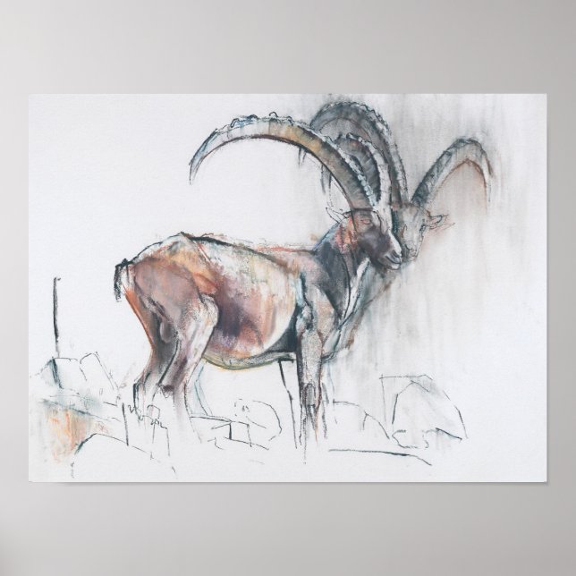 Col di Vermianaz Poster (Framsidan)