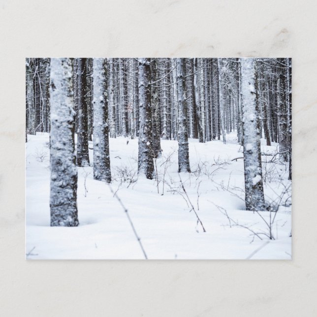 COL DU MOLLENDRUZ, MONT-LA-VILLE, SCHWEIZ VYKORT (Framsida)