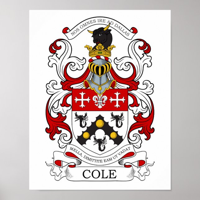 Cole Anpassningsbar 2 Poster (Framsidan)