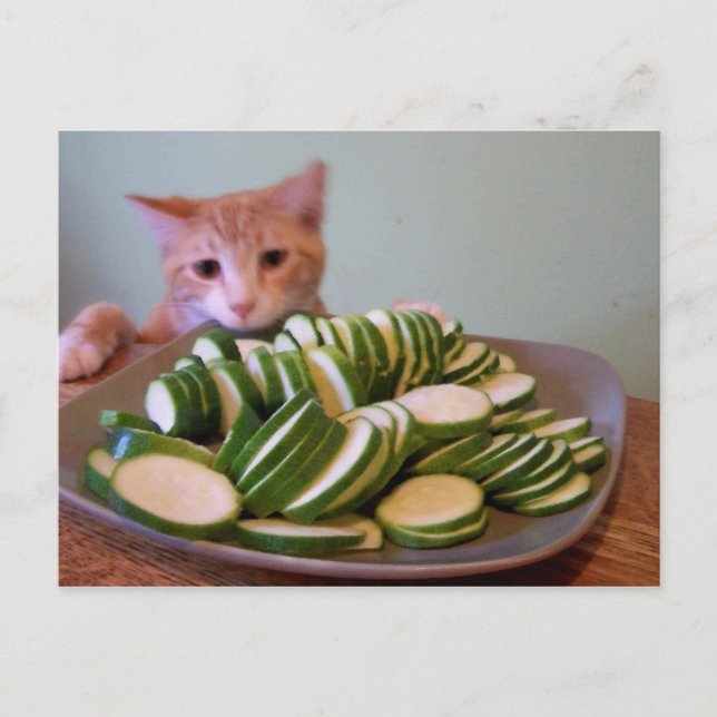 Cole i aktion vykort (Framsida)