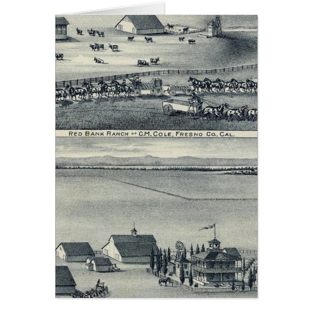 Cole Ranches Hälsningskort (Framsidan)