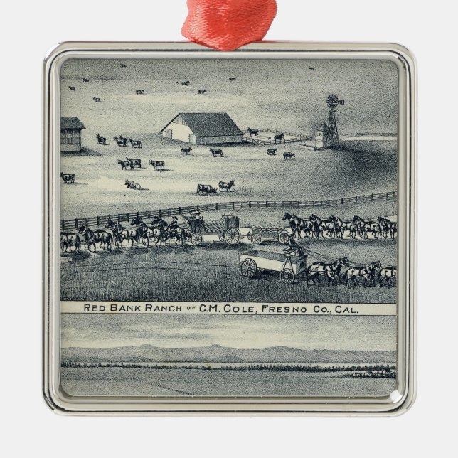 Cole Ranches Julgransprydnad Metall (Framsidan)