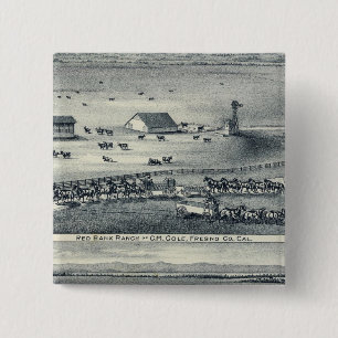 Cole Ranches Knapp