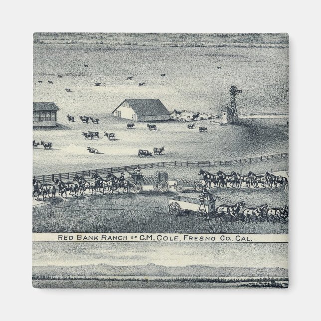 Cole Ranches Magnet (Framsidan)