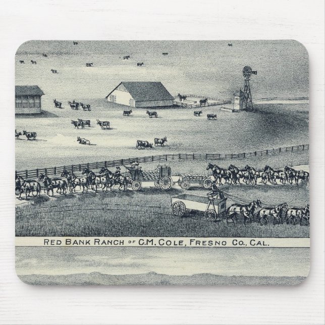 Cole Ranches Musmatta (Framsidan)