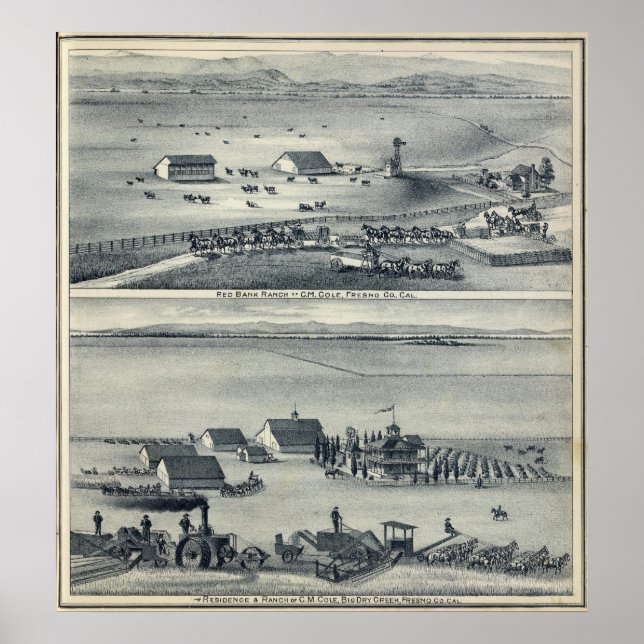 Cole Ranches Poster (Framsidan)