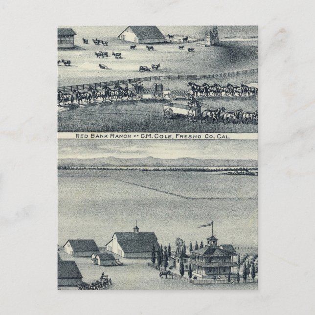 Cole Ranches Vykort (Framsida)