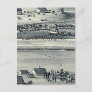 Cole Ranches Vykort