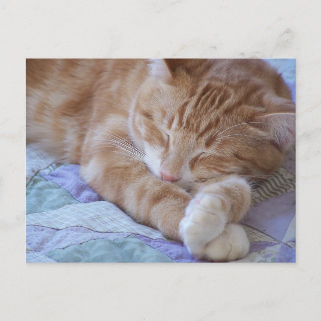 Cole Vykort (Framsida)