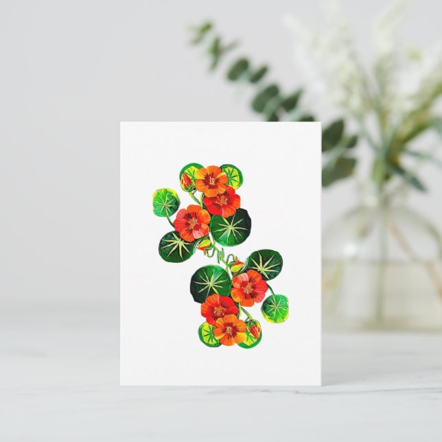 coleção Flores do Brasil capuchinha,  Vykort (Stående Fram)