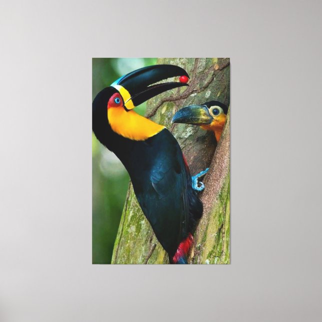 Coleção Onaitsirc Infinity de quadros de tela. Canvastryck (Framsida)