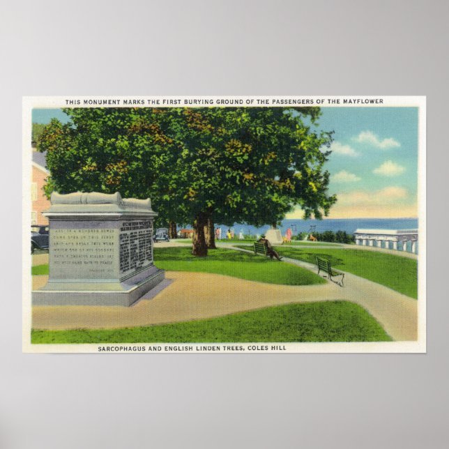Coles Backe View of Mayblommor Burial Monument Poster (Framsidan)