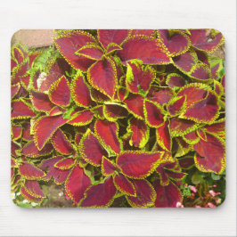 Coleus Flower Patch Mousepad Musmatta