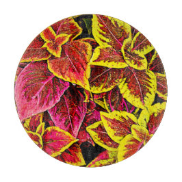 Coleus Löv Burst Design