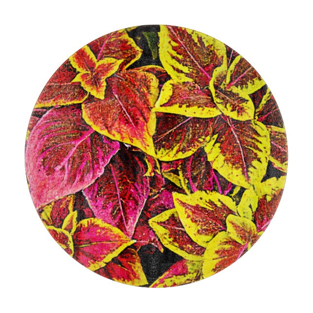 Coleus Löv Burst Design (Framsidan)