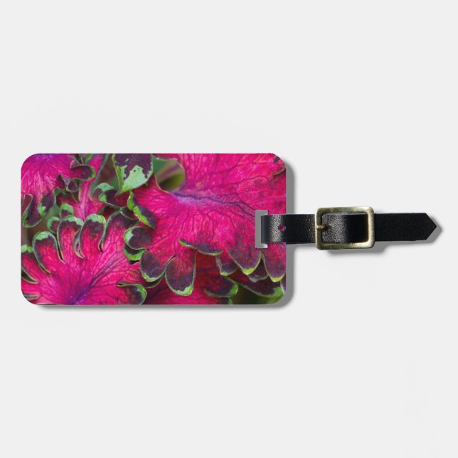 Coleus Macro Bagagebricka (Horisontell Framsida)