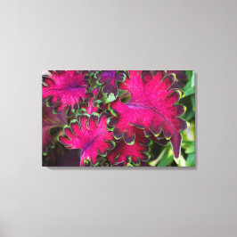 Coleus Macro Canvastryck