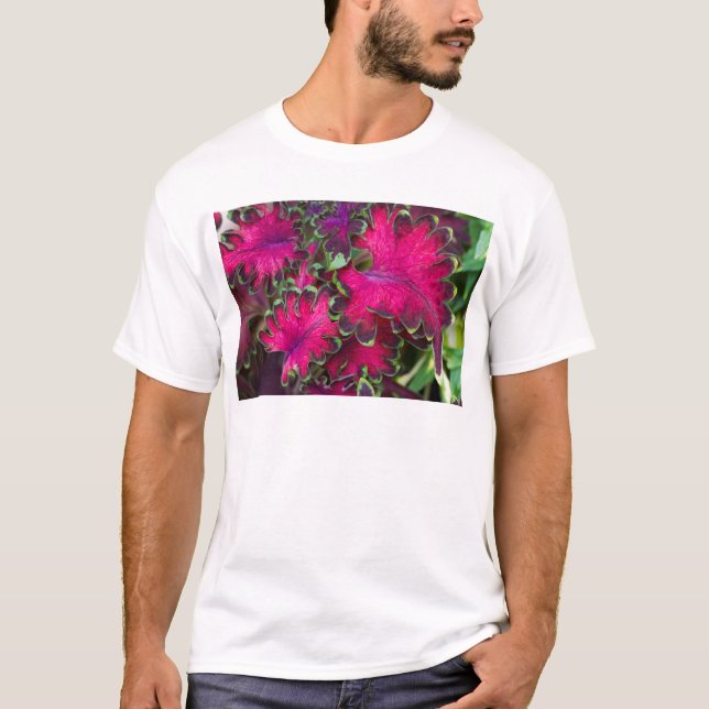 Coleus Macro T Shirt (Framsida)