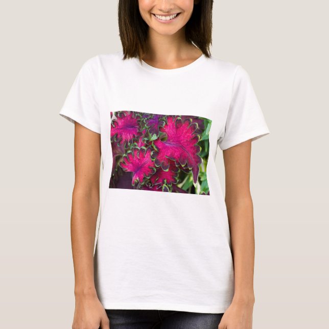 Coleus Macro Tee Shirt (Framsida)