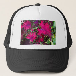 Coleus Macro Truckerkeps