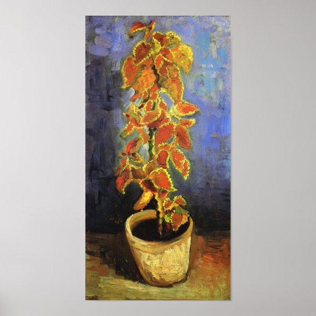 Coleus Plant i en Flowerpot Van Gogh Fine Art Poster (Framsidan)