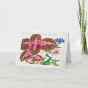 Coleus, Verbena av Tanigami Konan Kort