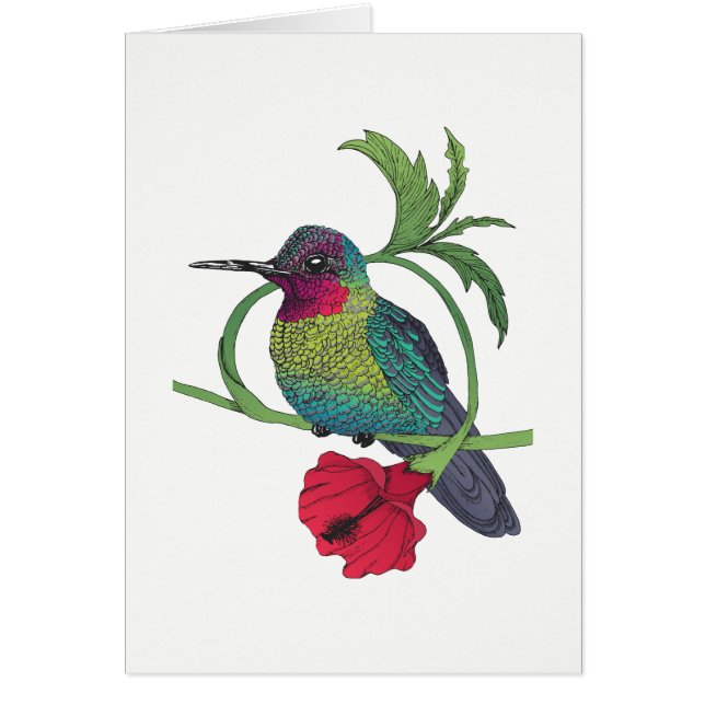 Colibri Bird Illustration Card Hälsningskort (Framsidan)