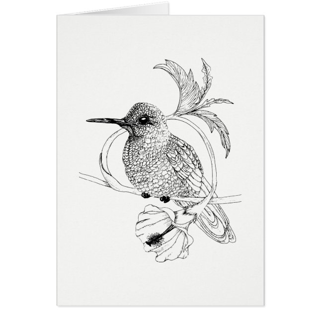 Colibri Bird Illustration Card Hälsningskort (Framsidan)