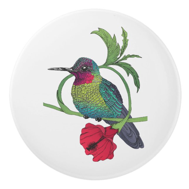 Colibri Bird Illustration Ceramic Knob Knopp (Framsidan)