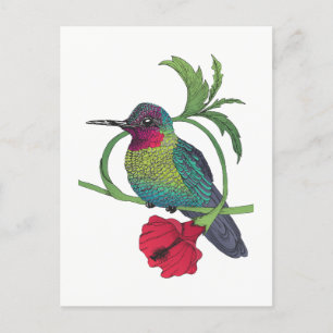 Colibri Bird Illustration-vykort Vykort
