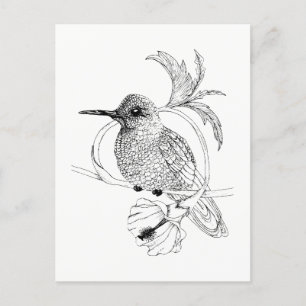 Colibri Bird Illustration-vykort Vykort