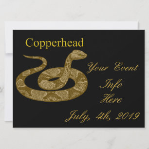 Colind Copperhead Snake Thunder_Cove
