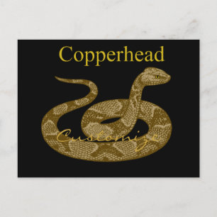 Colind Copperhead Snake Thunder_Cove Vykort