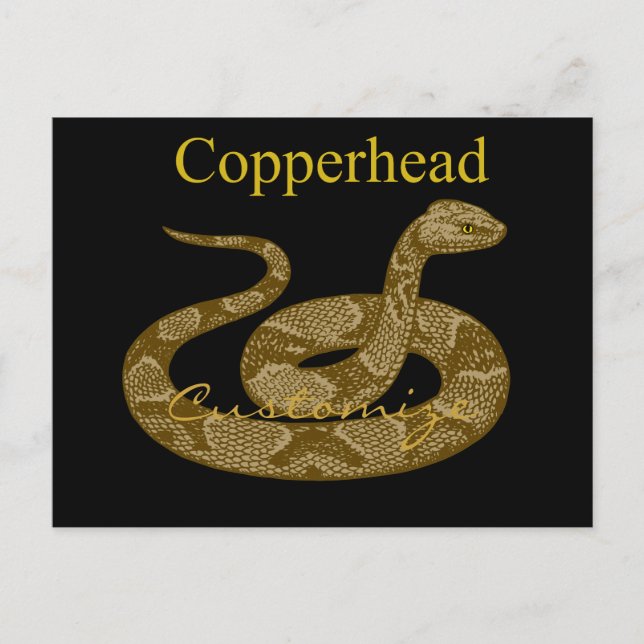 Colind Copperhead Snake Thunder_Cove Vykort (Framsida)