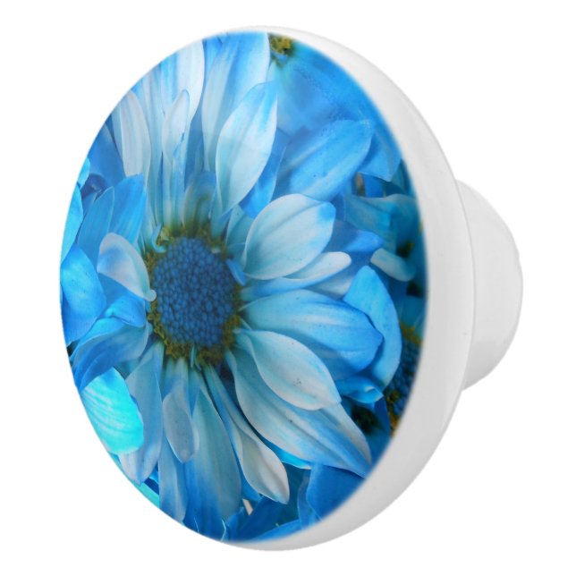 Collaert Knopp (Höger)