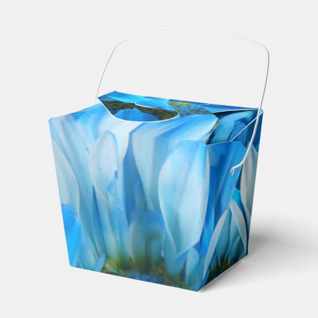 Collaert Presentaskar (Framsidan Sidan)