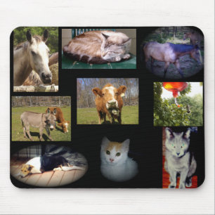 Collage 1, Mousepad Musmatta