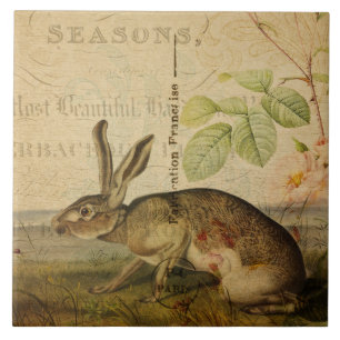 Collage för blommigt för illustration för kakelplatta
