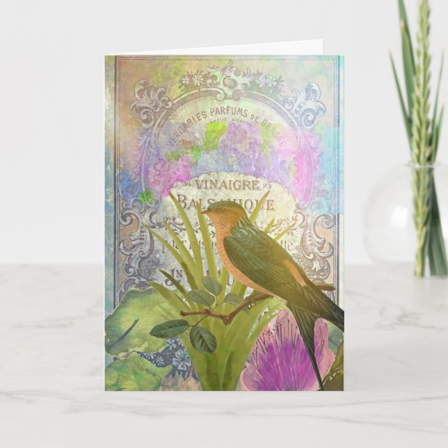 Collage för fågel för grattis på kort (Framsida)