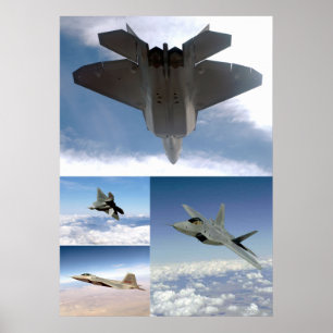 Collage för rovfågel F22 Poster