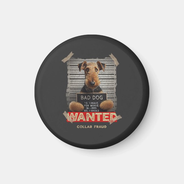 Collar Fraudster Magnet (Framsidan)