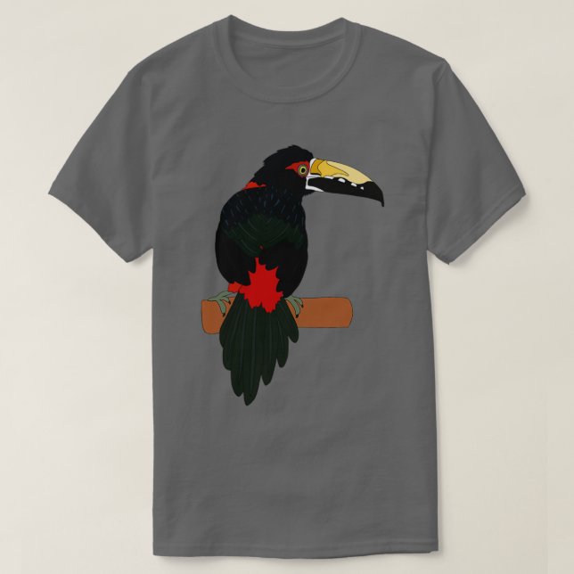 Collared Aracari T Shirt (Design framsida)