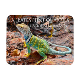 Collborn Lizard, Alibates Flint Quarries, Texas Magnet
