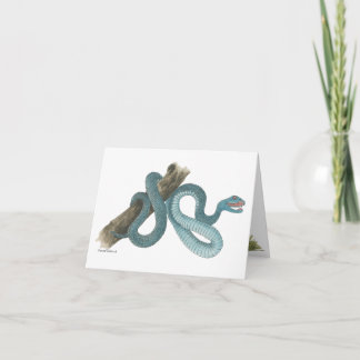 Collection Austrailian  snake Note Card Kort