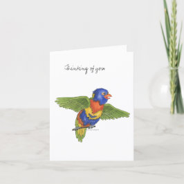 Collection Budgie Note Card Kort