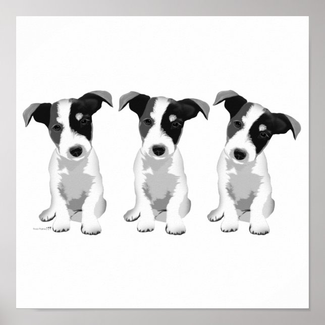 Collection Design Roseplatine® Poster (Framsidan)