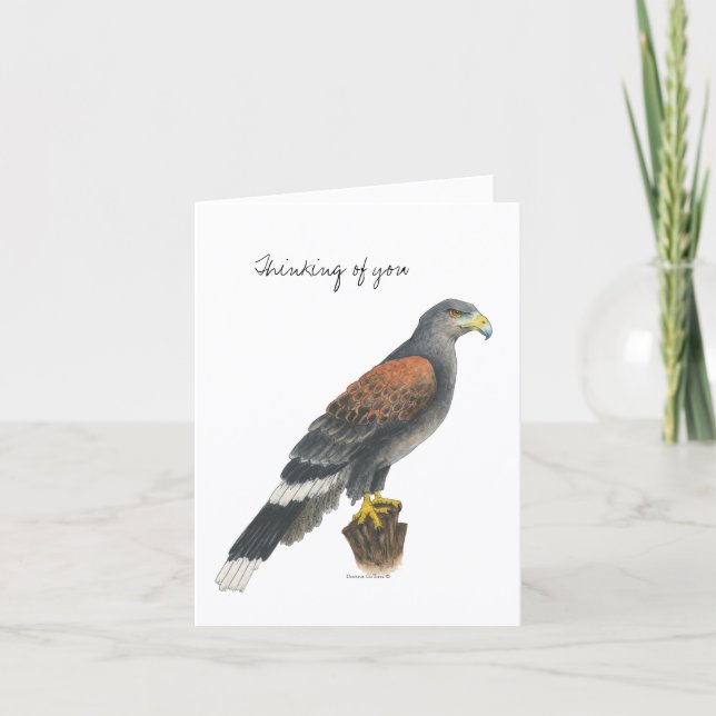 Collection Falcon  Note Card Kort (Framsida)