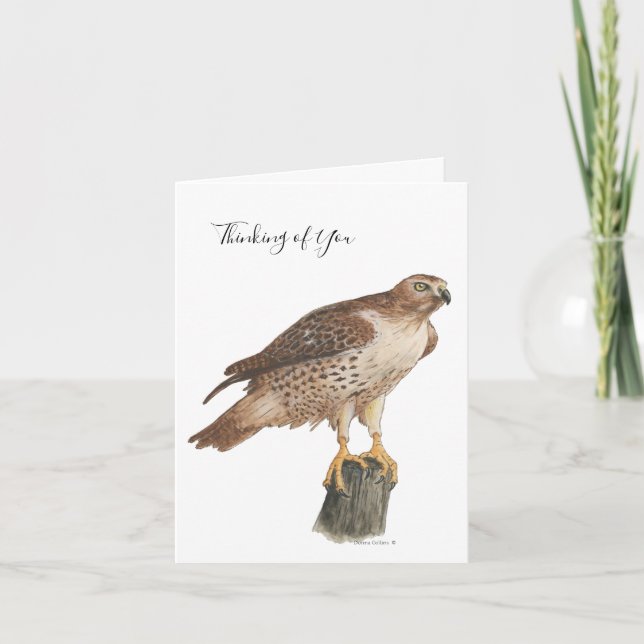 Collection Hawk Note Card Helgkort (Framsida)