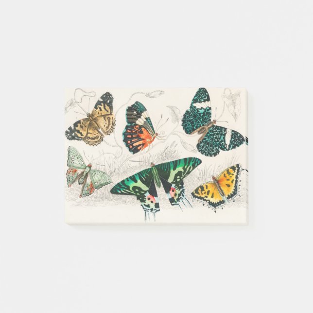 Collection of Various Butterflies Post-it Block (Framsida)