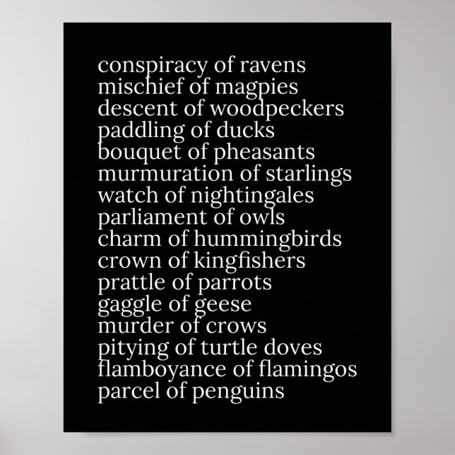 Collective Nouns of Birds Black and White Poster (Framsidan)